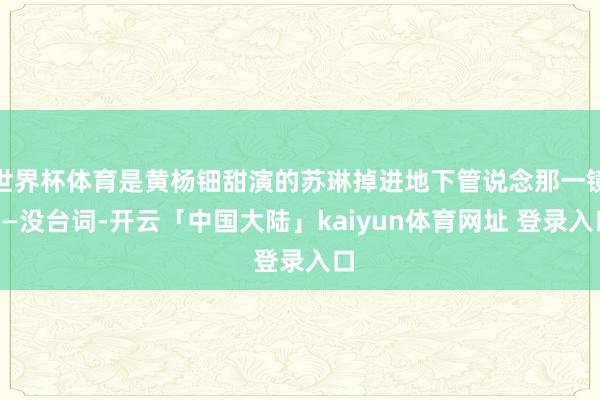世界杯体育是黄杨钿甜演的苏琳掉进地下管说念那一镜——没台词-开云「中国大陆」kaiyun体育网址 登录入口